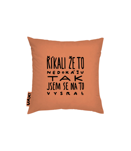 POVLAK NA POLŠTÁŘ 50x50