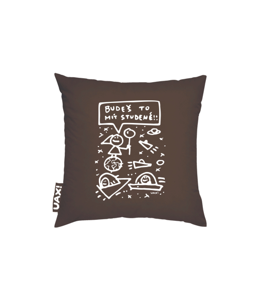 POVLAK NA POLŠTÁŘ 50x50