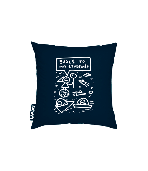 POVLAK NA POLŠTÁŘ 50x50